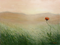 LUCIA COCCHI